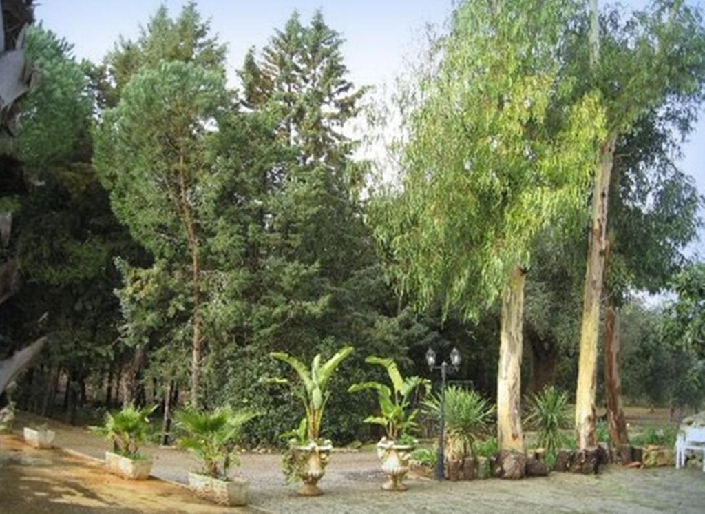 Villa Mado Ceglie Messapica Exterior photo